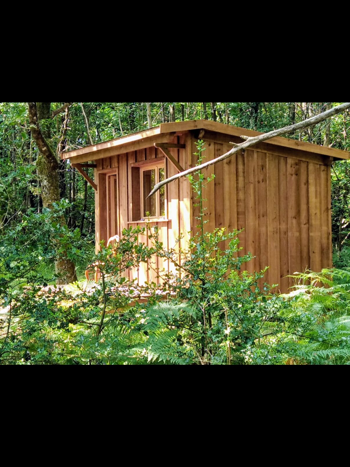 Petite construction en bois au milieu de la végétation